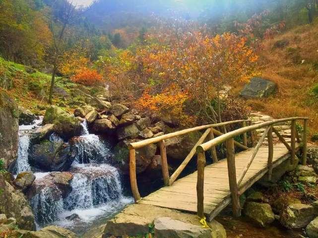 次元喵